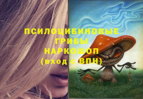 прущий лед Кулебаки