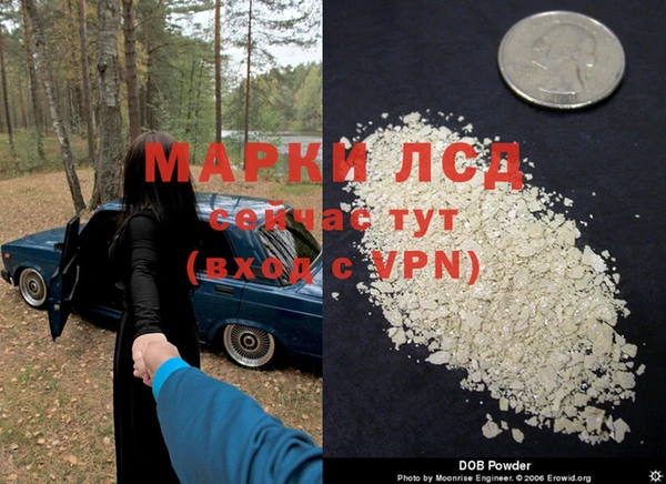 эйфоретик Кукмор