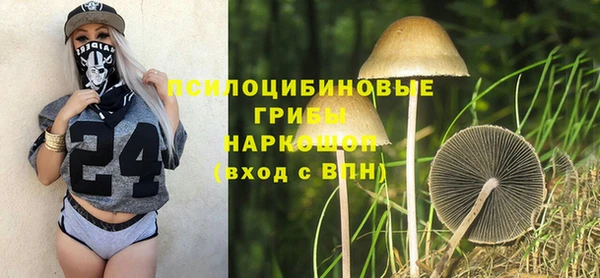 соль курить ск Осинники