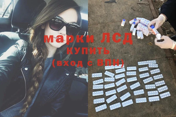 эйфоретик Кукмор