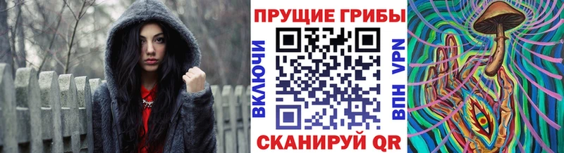 как найти закладки  дарк нет формула  Галлюциногенные грибы прущие грибы  Невельск 